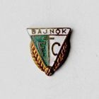 Ferencvaros TC Budapest Champion starý odznak (lak)