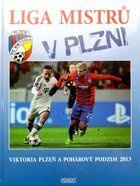 Liga mistrů v Plzni. Viktoria Plzeň v poháru na podzim 2013