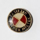 TJ Slezan Frýdek-Místek (epoxid)