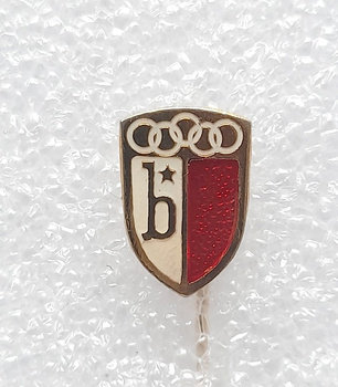 Odznak FK Bosna Sarajevo (epoxid)