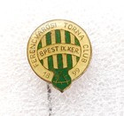 Odznak s erbem Ferencvarosi TC (epoxid)