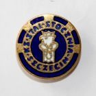 KS Stal Stocznia Szczecin (zlatý smalt)