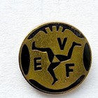 EV Füssen lední hokej (epoxid)