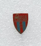 Odznak Ganz MAVAG SE (Maďarsko, lak)